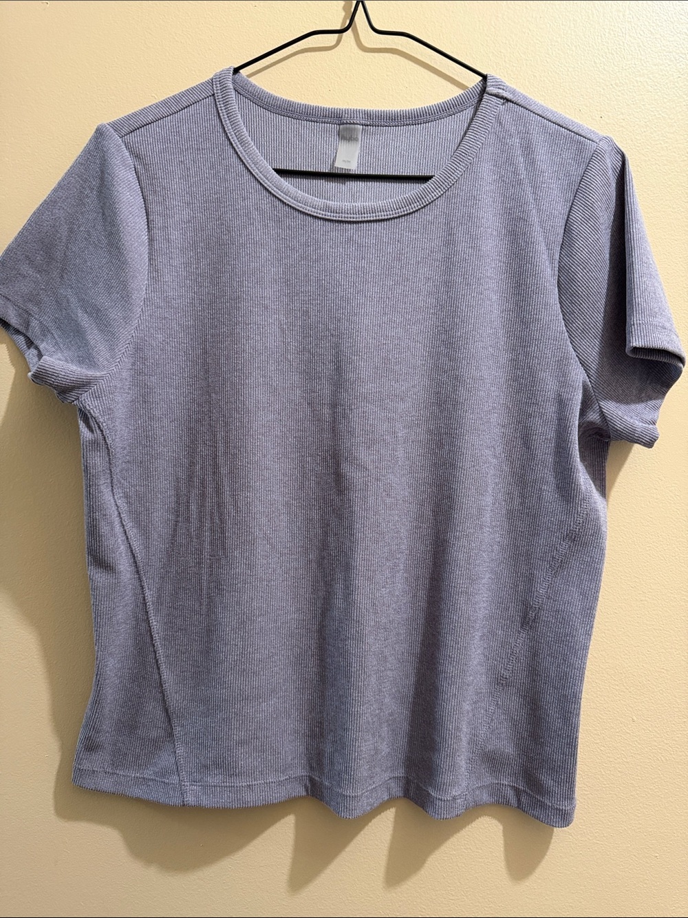 Ribbed Short Sleeve Crewneck Top in Lavender